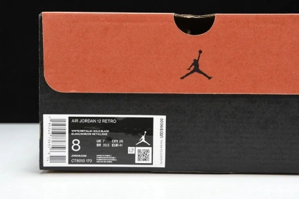 “ROYALTY” JORDAN 12 AIR 0920